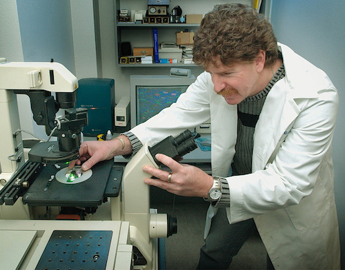 Mark Sussman in lab coat working with microscope.